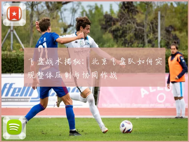 飞盘战术揭秘：北京飞盘队如何实现整体压制与协同作战