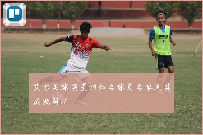 艾尔足球明星的知名球员名单及其成就解析