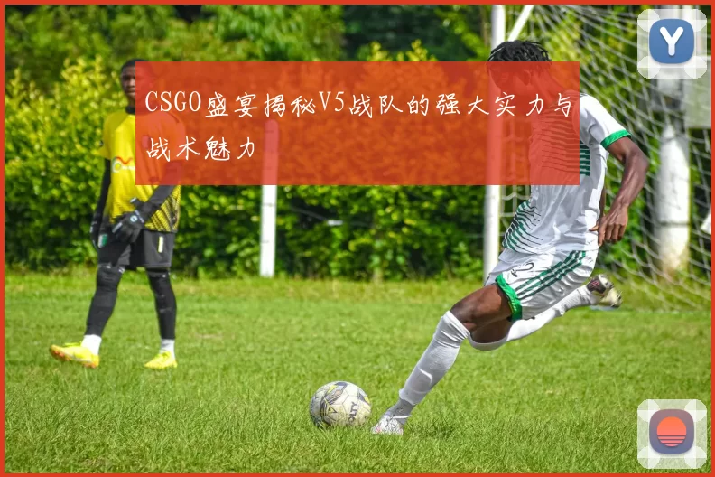 CSGO盛宴揭秘V5战队的强大实力与战术魅力