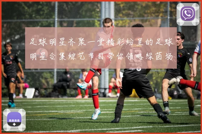 足球明星齐聚一堂精彩纷呈的足球明星合集综艺节目带你领略绿茵场上的魅力与激情