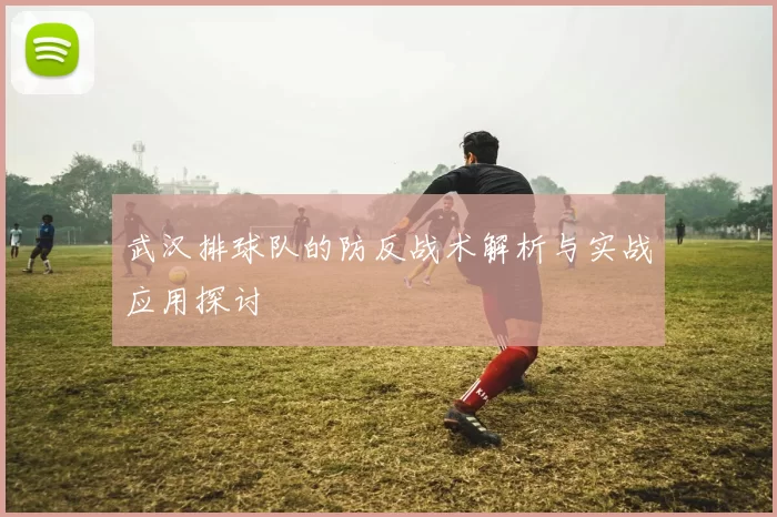 武汉排球队的防反战术解析与实战应用探讨
