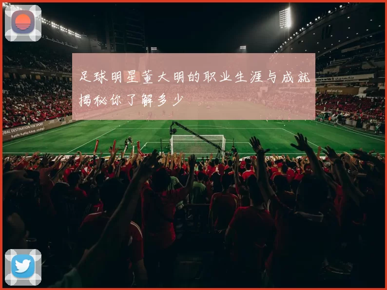足球明星董大明的职业生涯与成就揭秘你了解多少