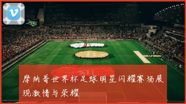 摩纳哥世界杯足球明星闪耀赛场展现激情与荣耀