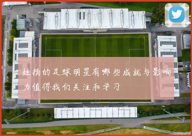 姓扬的足球明星有哪些成就与影响力值得我们关注和学习