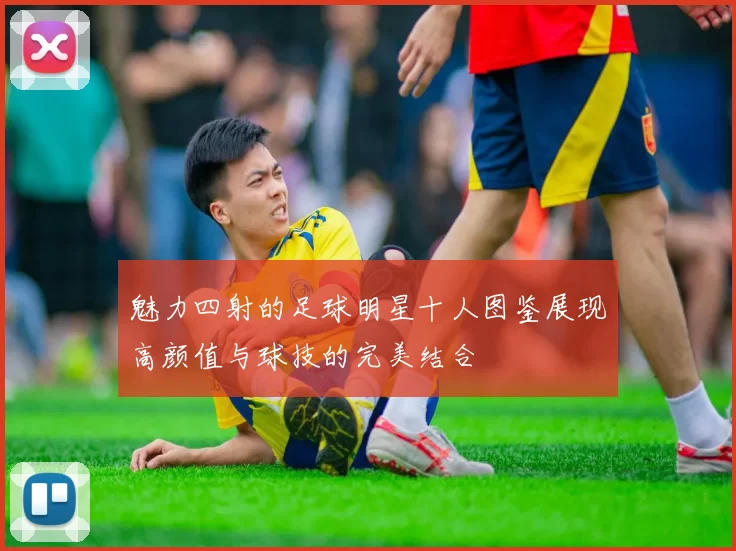 魅力四射的足球明星十人图鉴展现高颜值与球技的完美结合