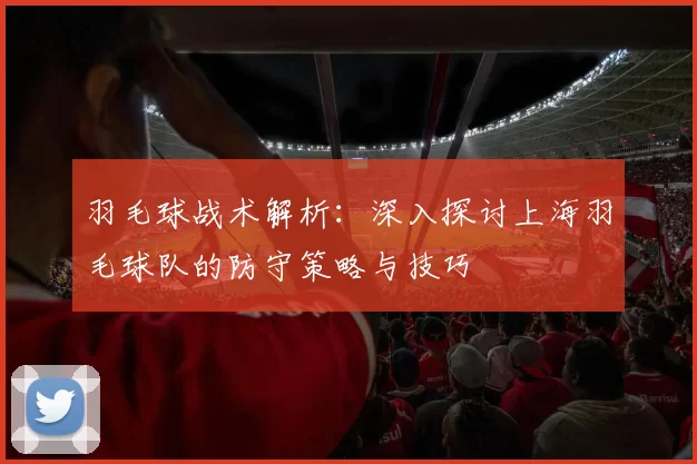 羽毛球战术解析：深入探讨上海羽毛球队的防守策略与技巧