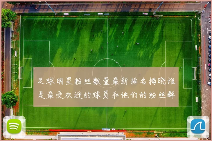 足球明星粉丝数量最新排名揭晓谁是最受欢迎的球员和他们的粉丝群体