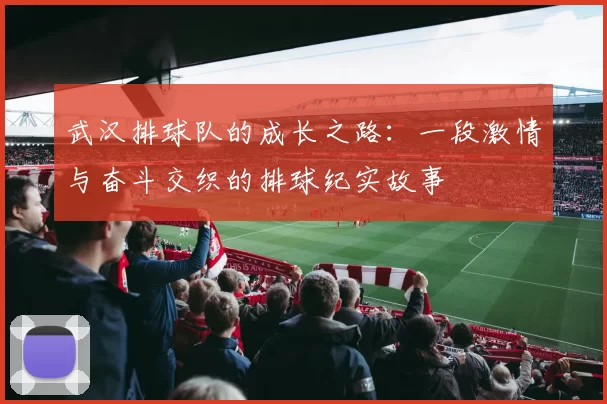 武汉排球队的成长之路：一段激情与奋斗交织的排球纪实故事