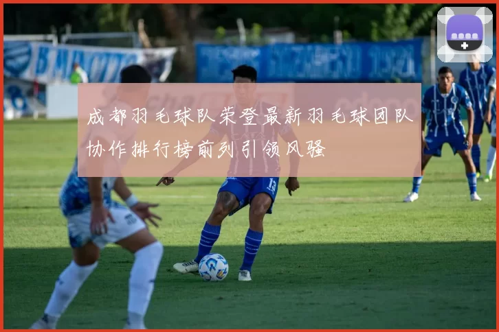 成都羽毛球队荣登最新羽毛球团队协作排行榜前列引领风骚
