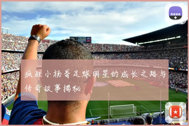 疯狂小杨哥足球明星的成长之路与传奇故事揭秘