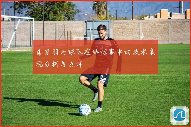 南京羽毛球队在锦标赛中的技术表现分析与点评