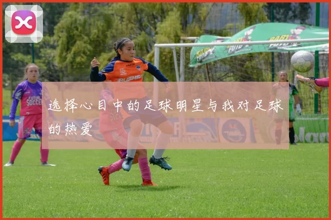 选择心目中的足球明星与我对足球的热爱