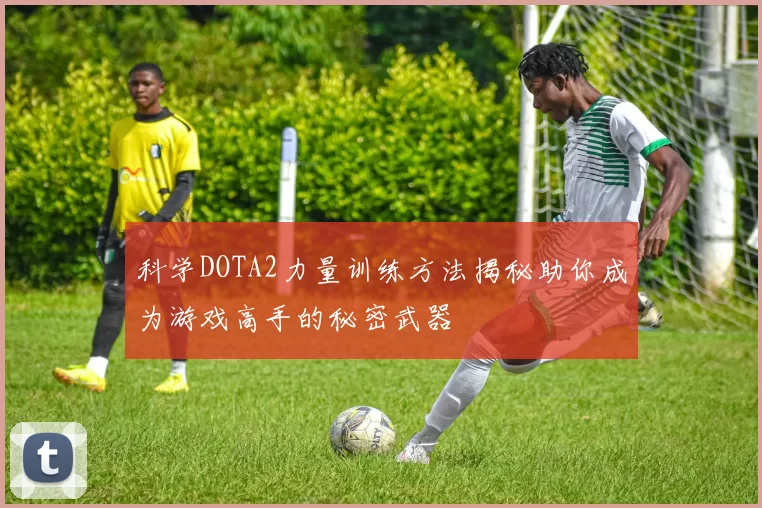 科学DOTA2力量训练方法揭秘助你成为游戏高手的秘密武器