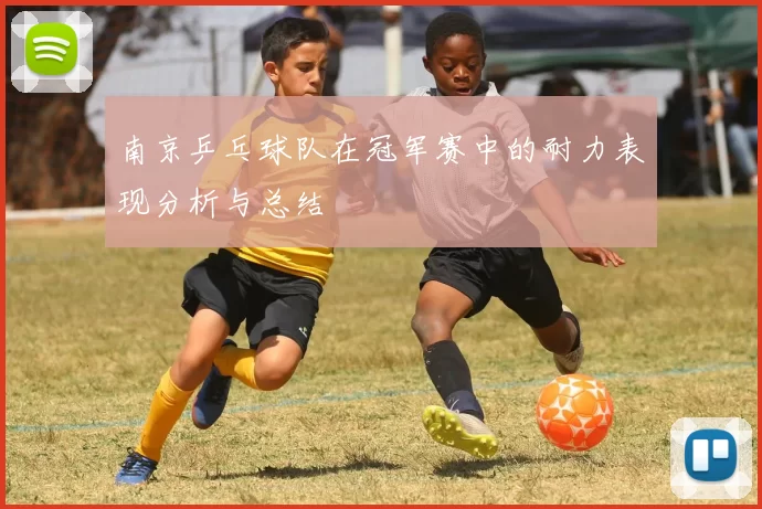 南京乒乓球队在冠军赛中的耐力表现分析与总结