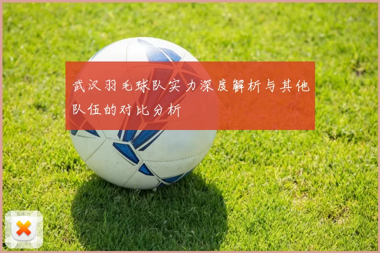 武汉羽毛球队实力深度解析与其他队伍的对比分析