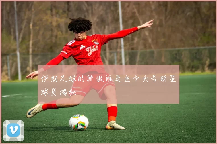 伊朗足球的骄傲谁是当今头号明星球员揭秘